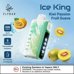 مقارنة شاملة: Elfbar Ice King 30000 ضد Beco Soft 6000 – أيهما ملك الصيف في دبي؟
